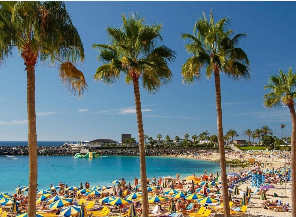 Aeropuerto Gran Canaria Apartamento Vacacional Carrizal Exteriör bild